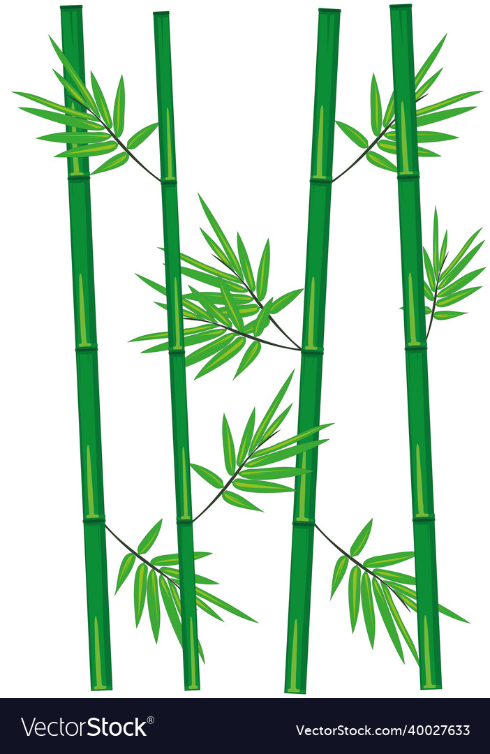 Bamboo stem with leaves Royalty Free Vector Image