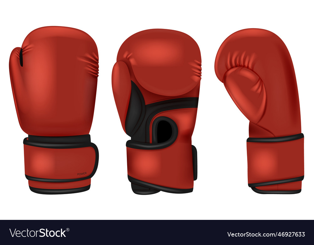 Color boxing gloves realistic Royalty Free Vector Image