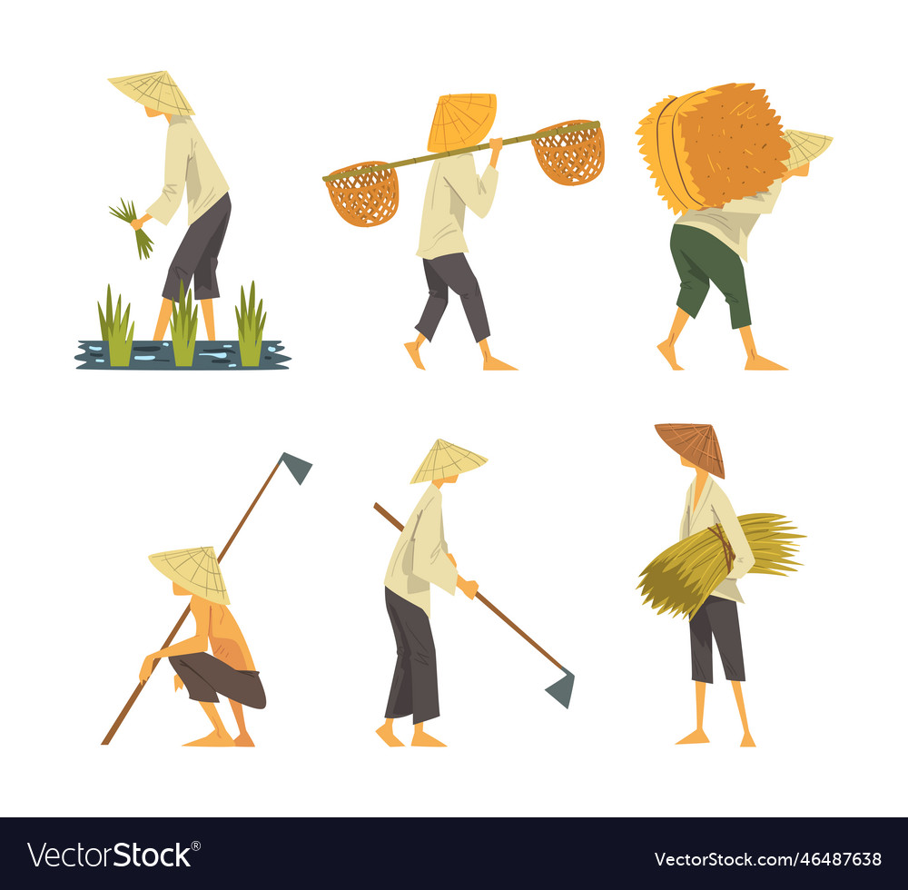 Asian farmers working on field set peasants