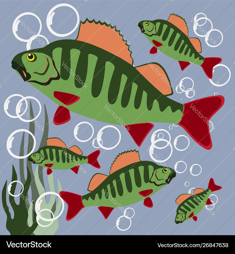 Beautiful fish pattern fishing summer Royalty Free Vector
