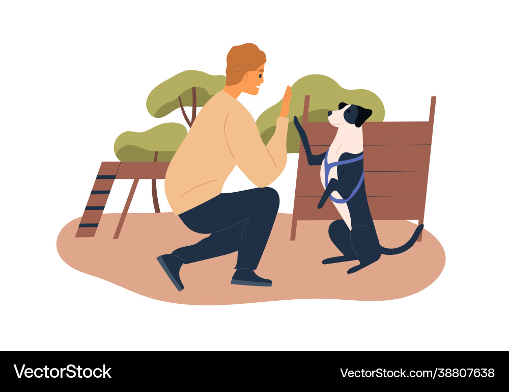 Trainer teaching dog at agility courses high five Vector Image