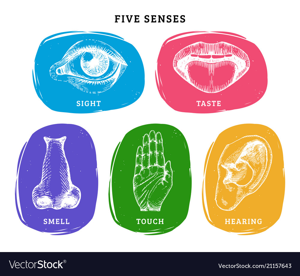 Icons set of five human senses in engraved style Vector Image