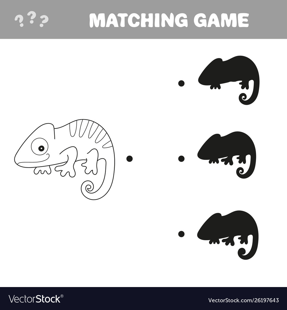 Iguana with different shadows to find correct one vector image Iguana with different shadows to find correct one