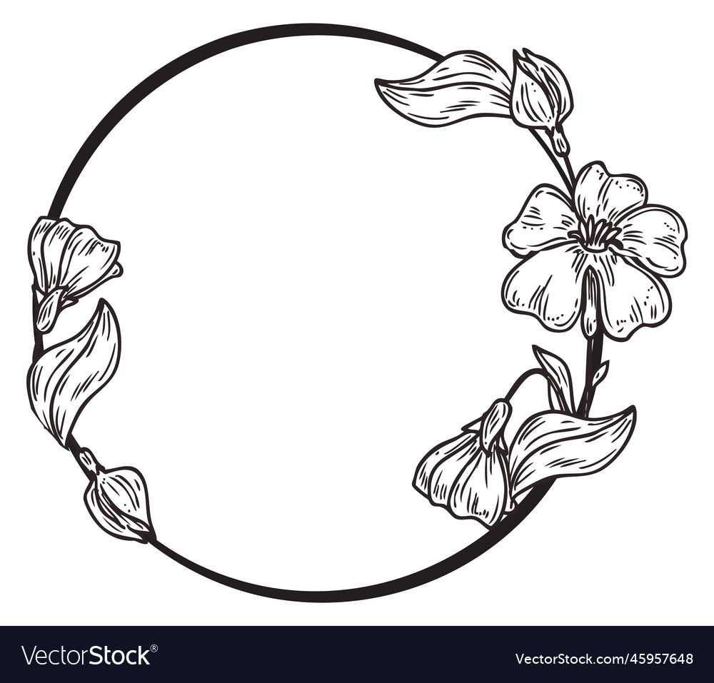 Herbal frame floral circle hand darwn wreath Vector Image