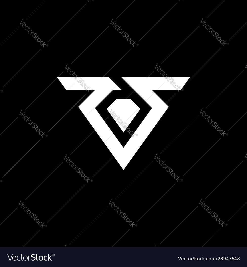 Initial letter rs logo template with triangle Vector Image