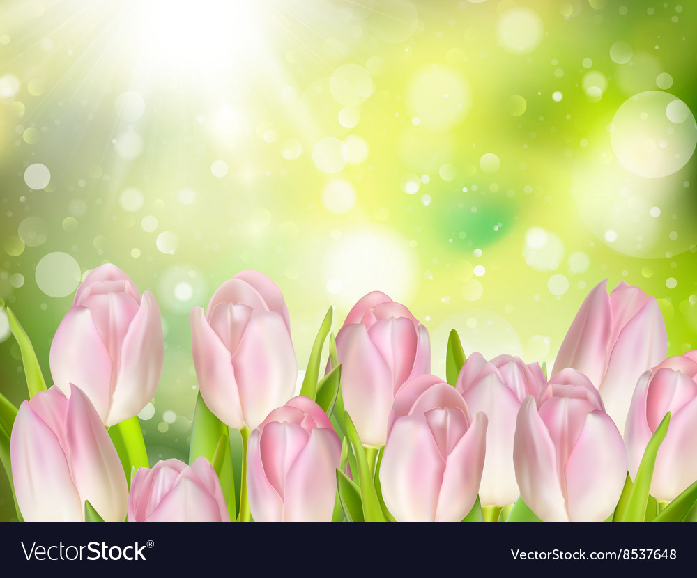 Mothers day background eps 10 Royalty Free Vector Image