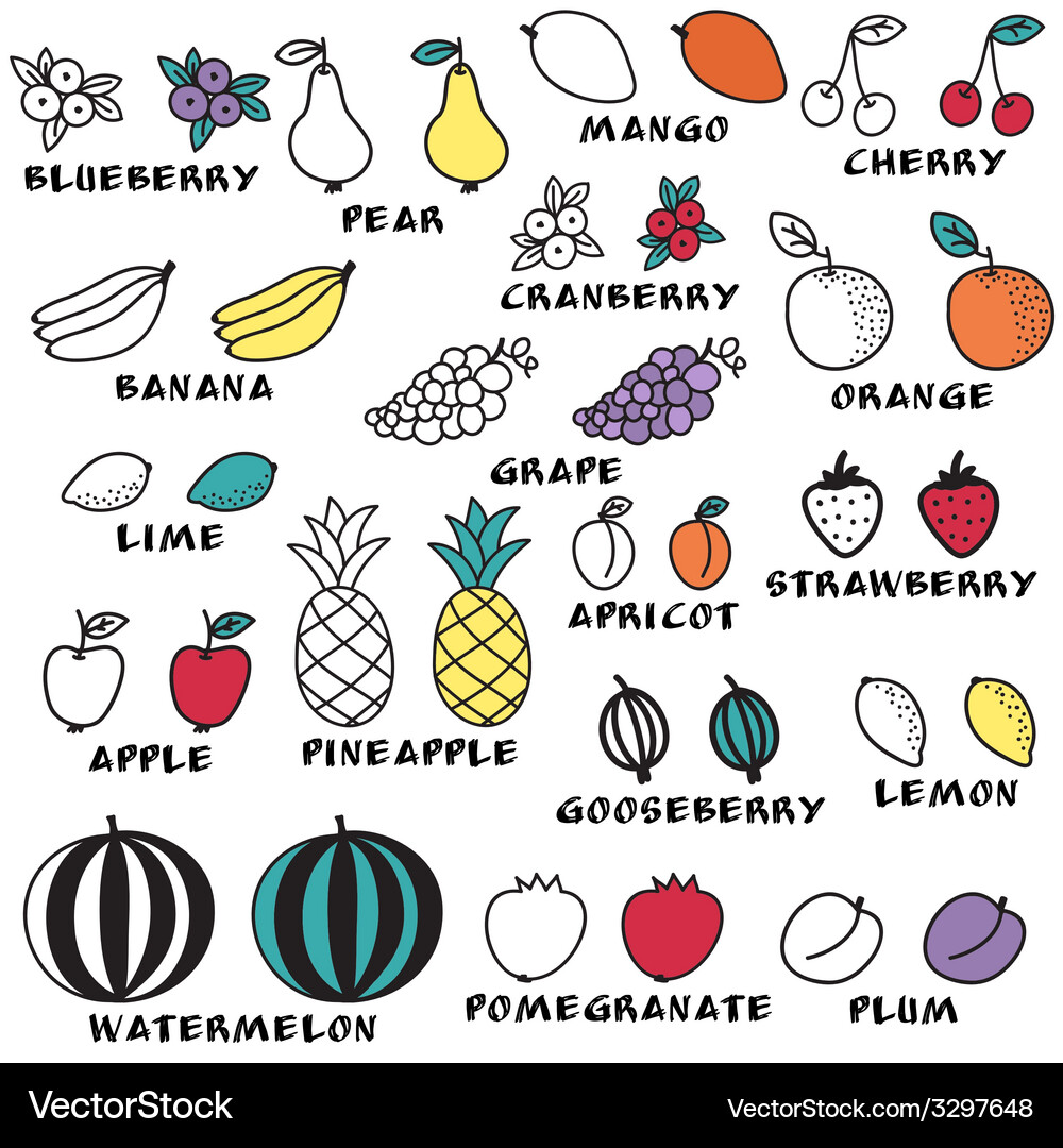Set doodle fruits for scrapbook or design Vector Image
