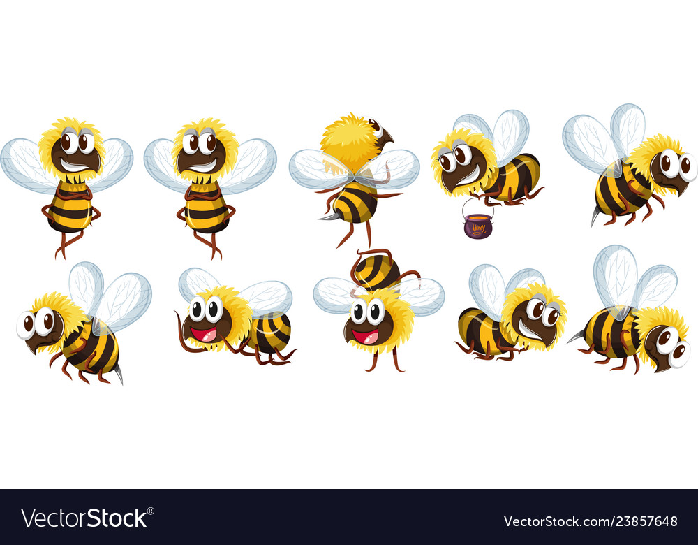 Set of bee character Royalty Free Vector Image