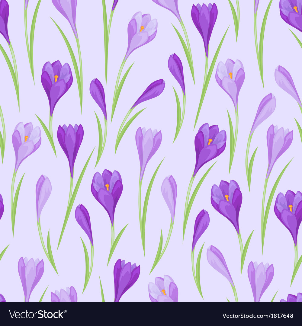 Spring flowers crocus natural seamless pattern