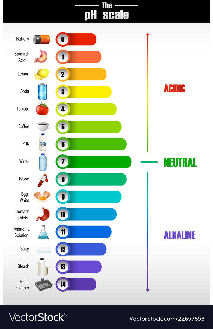 A science ph scale Royalty Free Vector Image - VectorStock