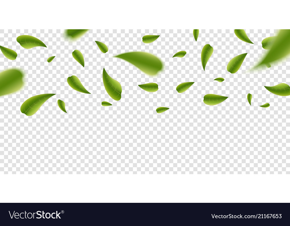 Creative of realistic blurred vector image Creative of realistic blurred