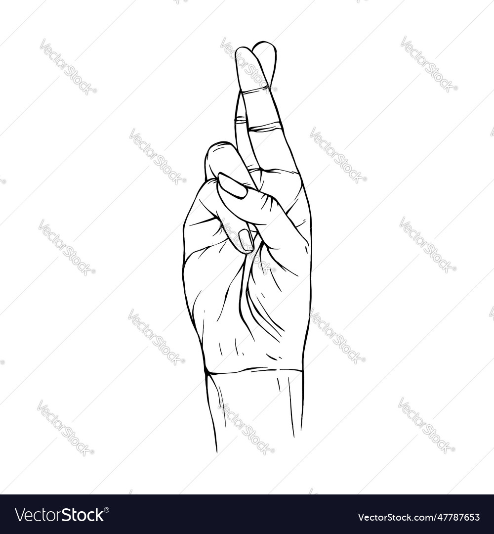 Hand drawn gesture sketch line art Royalty Free Vector Image