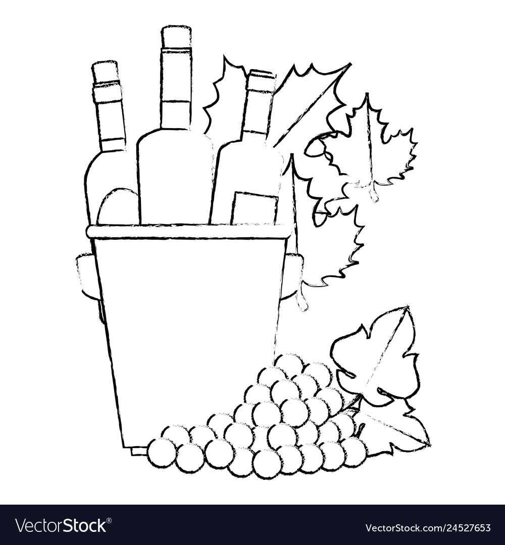 Wine bottles in bucket with leafs and grapes Vector Image Wine bottles in bucket with leafs and grapes