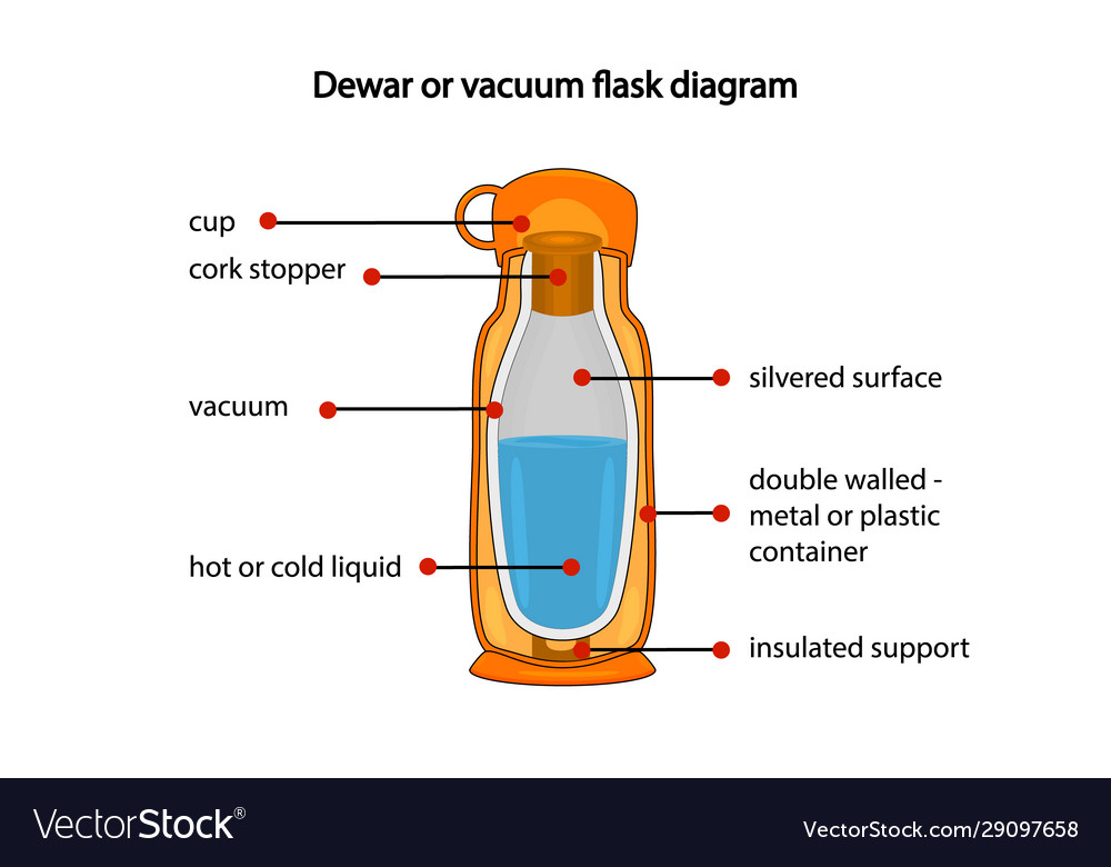 Dewar or vacuum flask fully diagram Royalty Free Vector