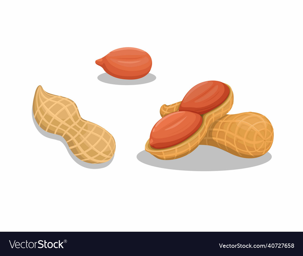 Peanuts: Slice and Whole Nut Set
