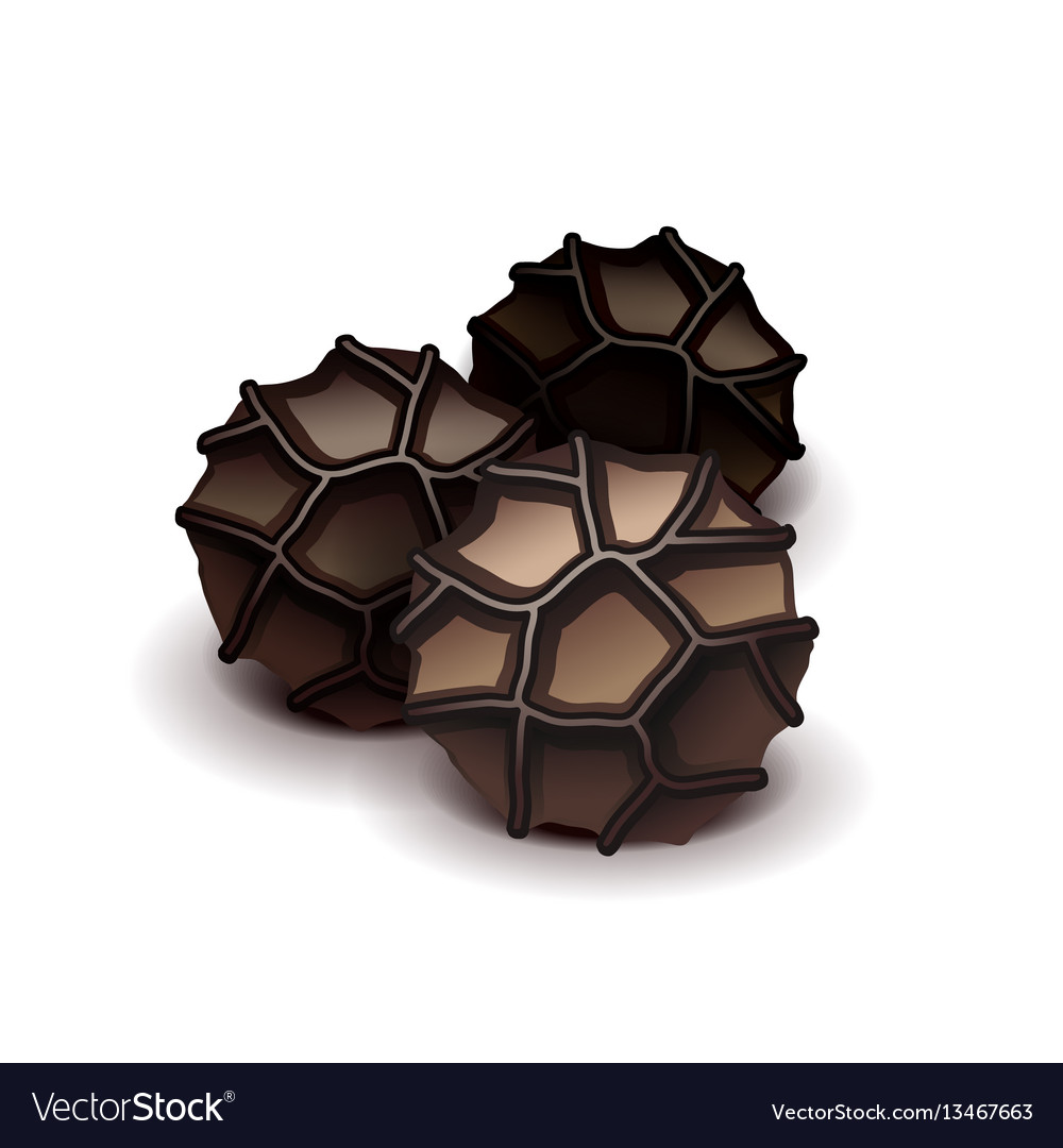Black pepper isolated on white Royalty Free Vector Image