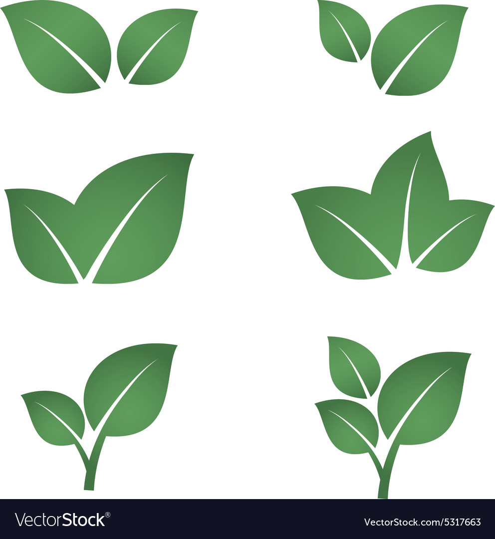 Green leaves icons set