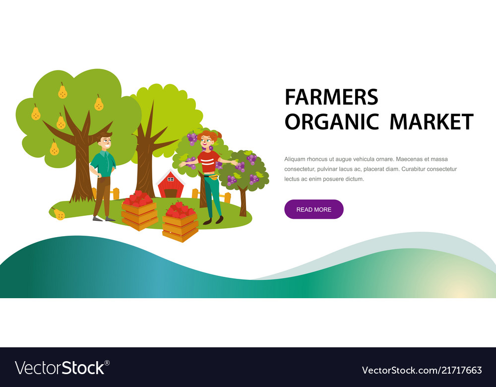 Harvesting picking fruits horizontal banner Vector Image