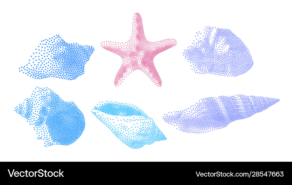 Set seashells on white background Royalty Free Vector Image