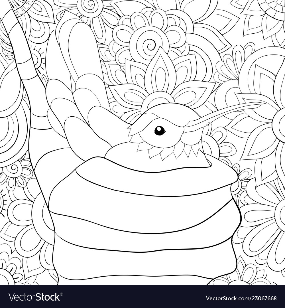 Adult coloring bookpage a cute hummingbird