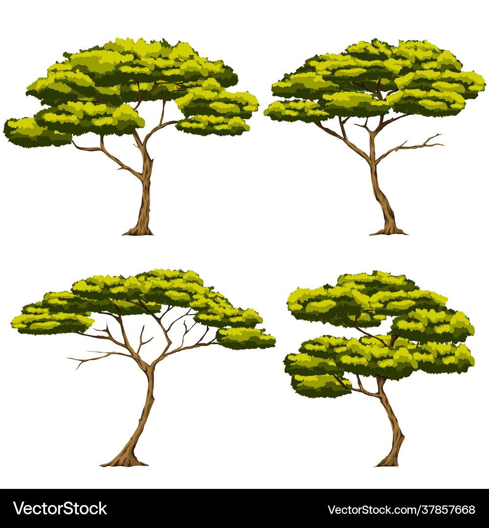 Set four trees it is a type Royalty Free Vector Image