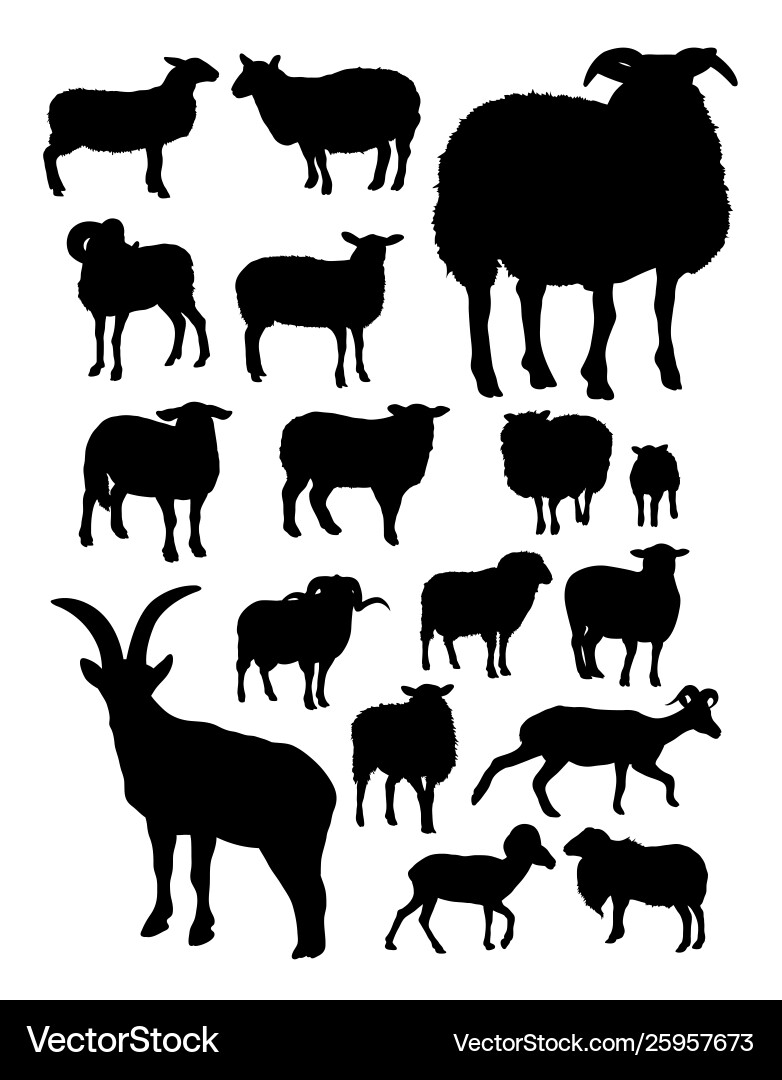 Sheep silhouettes Royalty Free Vector Image - VectorStock
