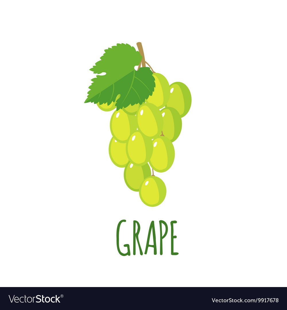 Grape icon in flat style on white background