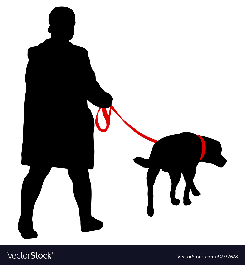 Silhouette woman and dog on a white background