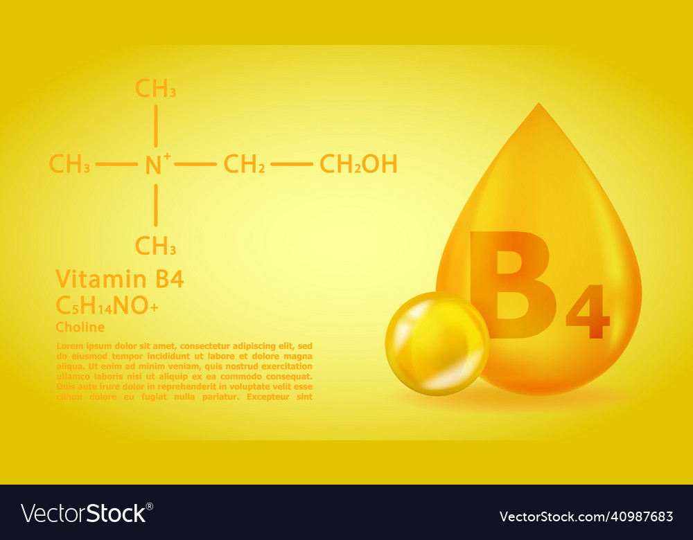 Realistic B4 Choline Vitamin Drop With Structural Vector Image