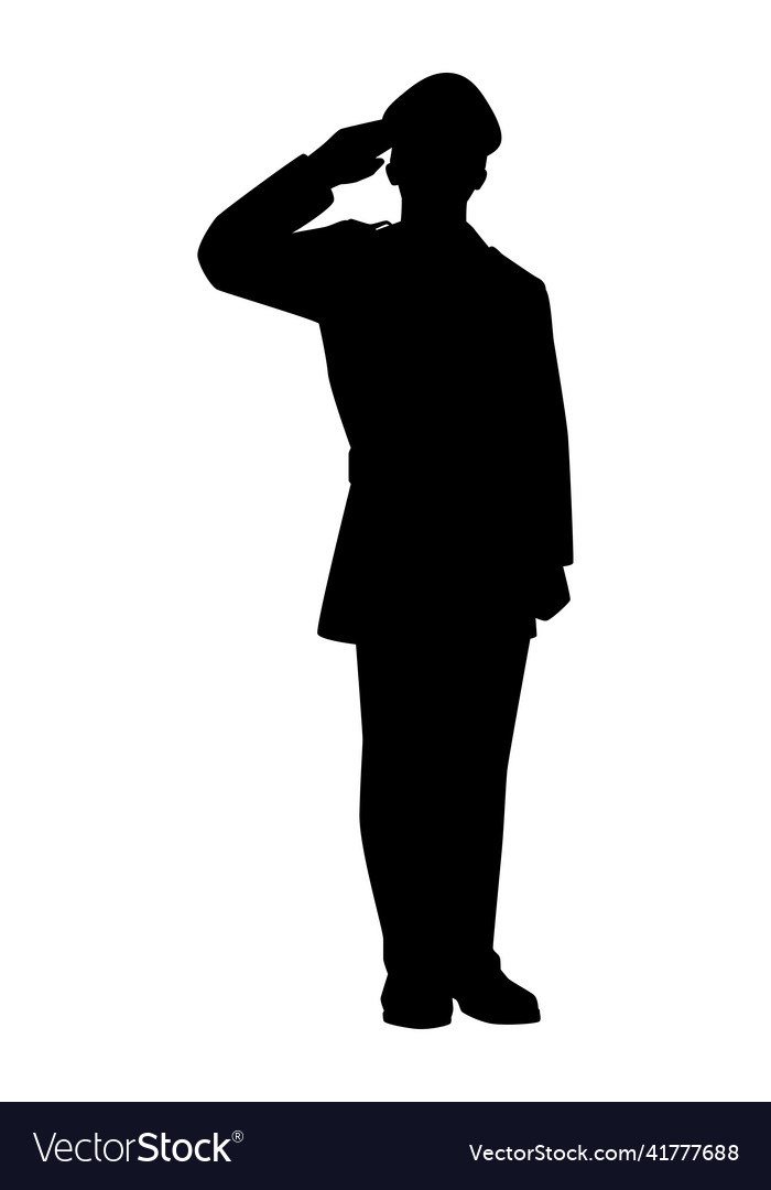 Soldier silhouette isolated on white background Vector Image