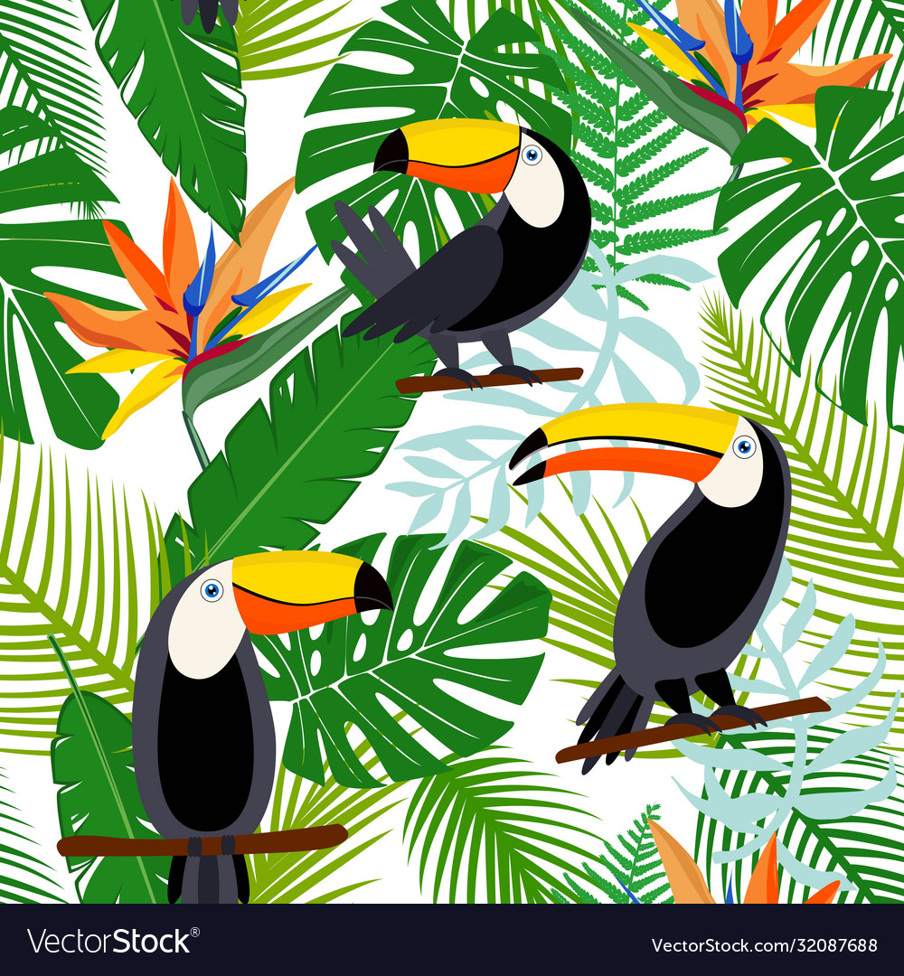 Toucan exotic birds tropical palm leaves jungle