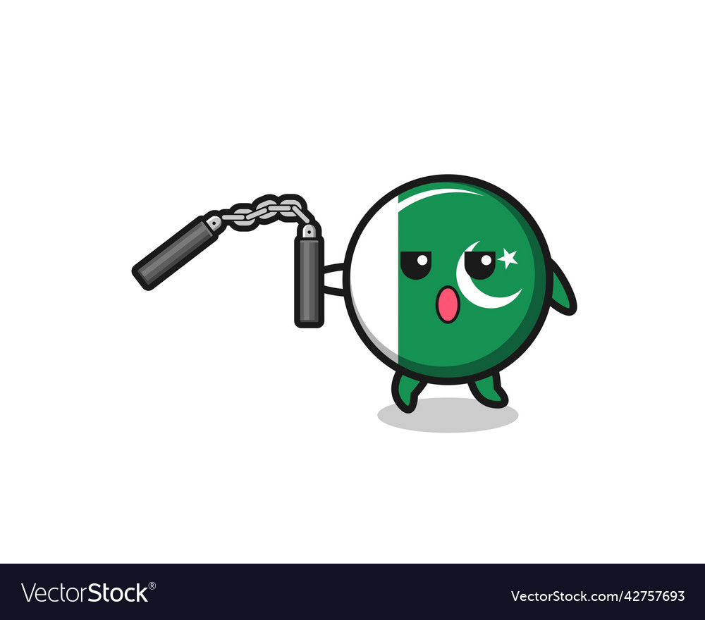 Cartoon of pakistan flag using nunchaku Royalty Free Vector