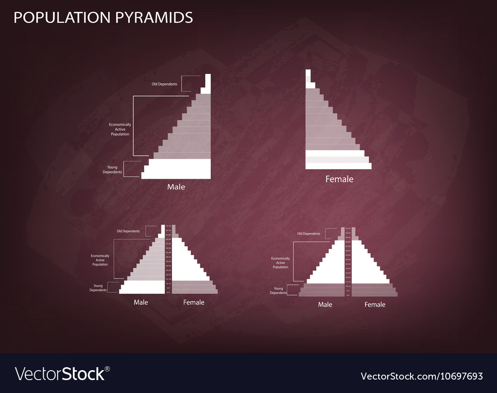 Detail Of Population Pyramids Graphs Depend On Age 9456