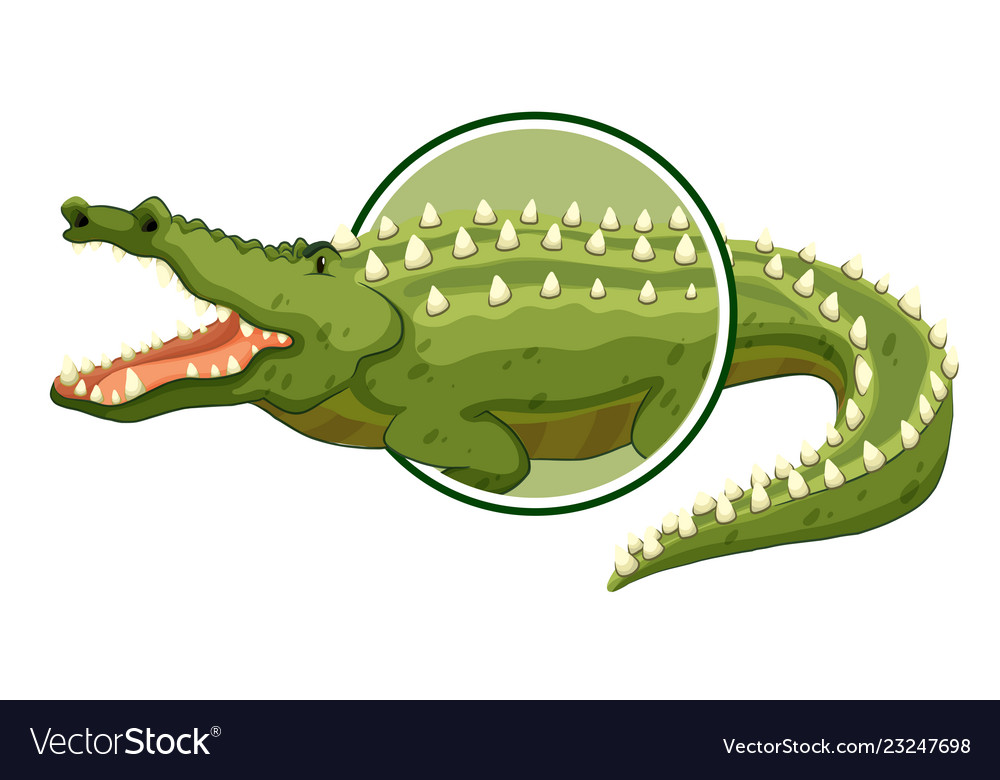 crocodile sticker