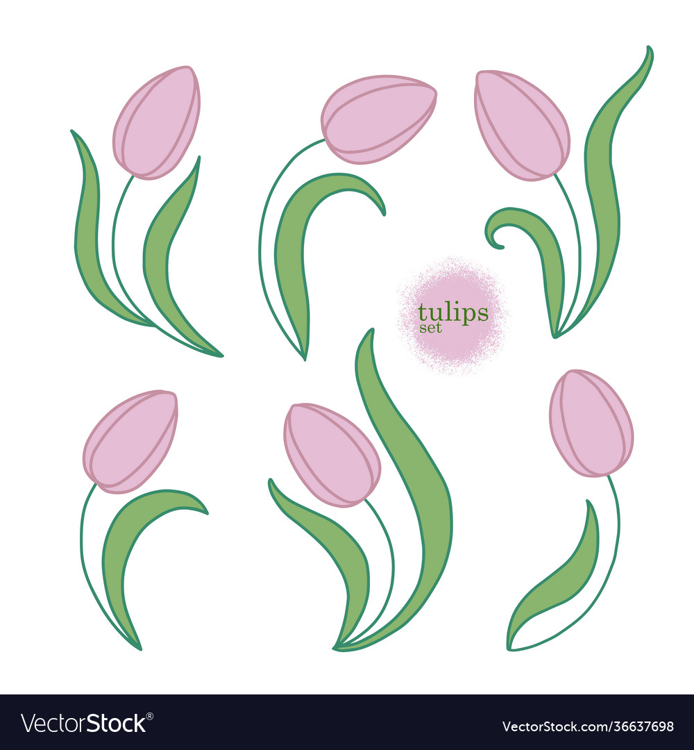 Pink tulips set Royalty Free Vector Image - VectorStock