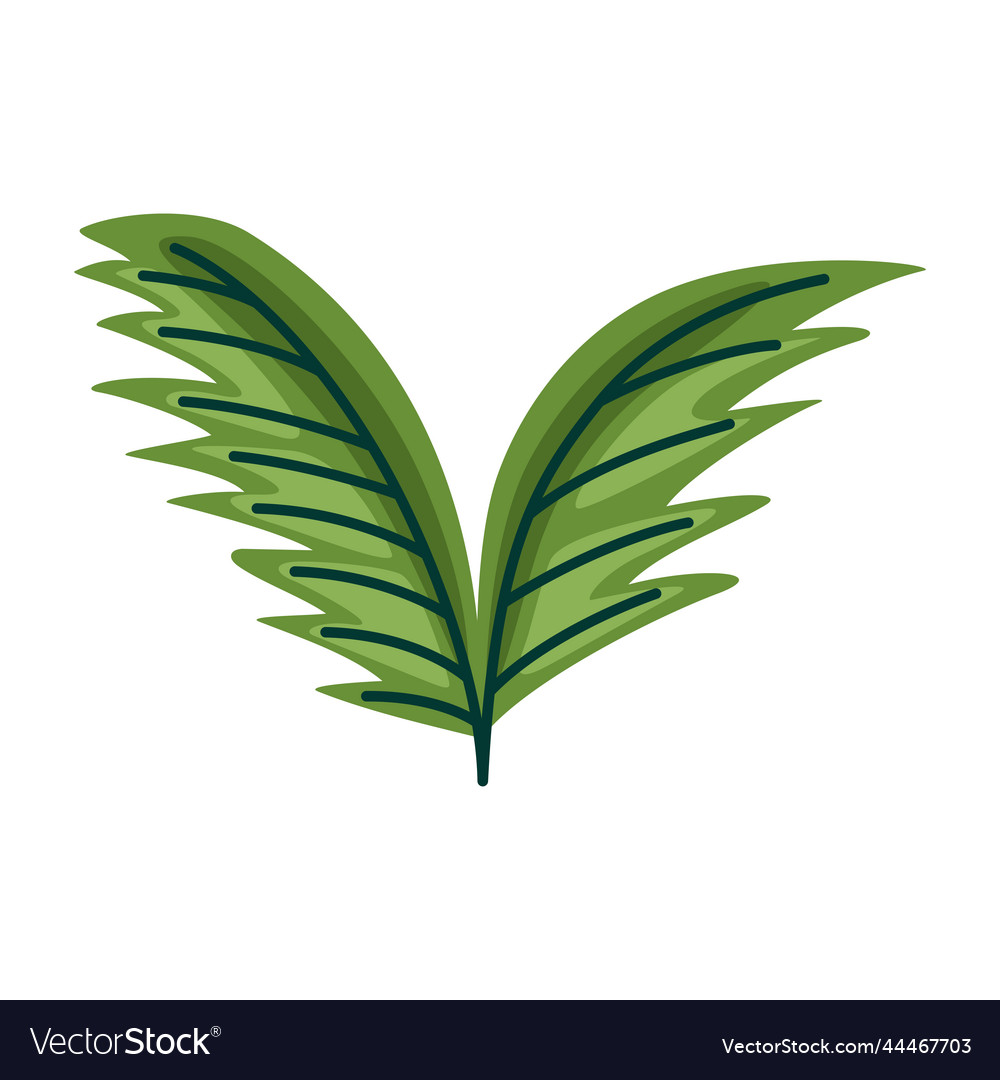 Green leafs palms foliage Royalty Free Vector Image