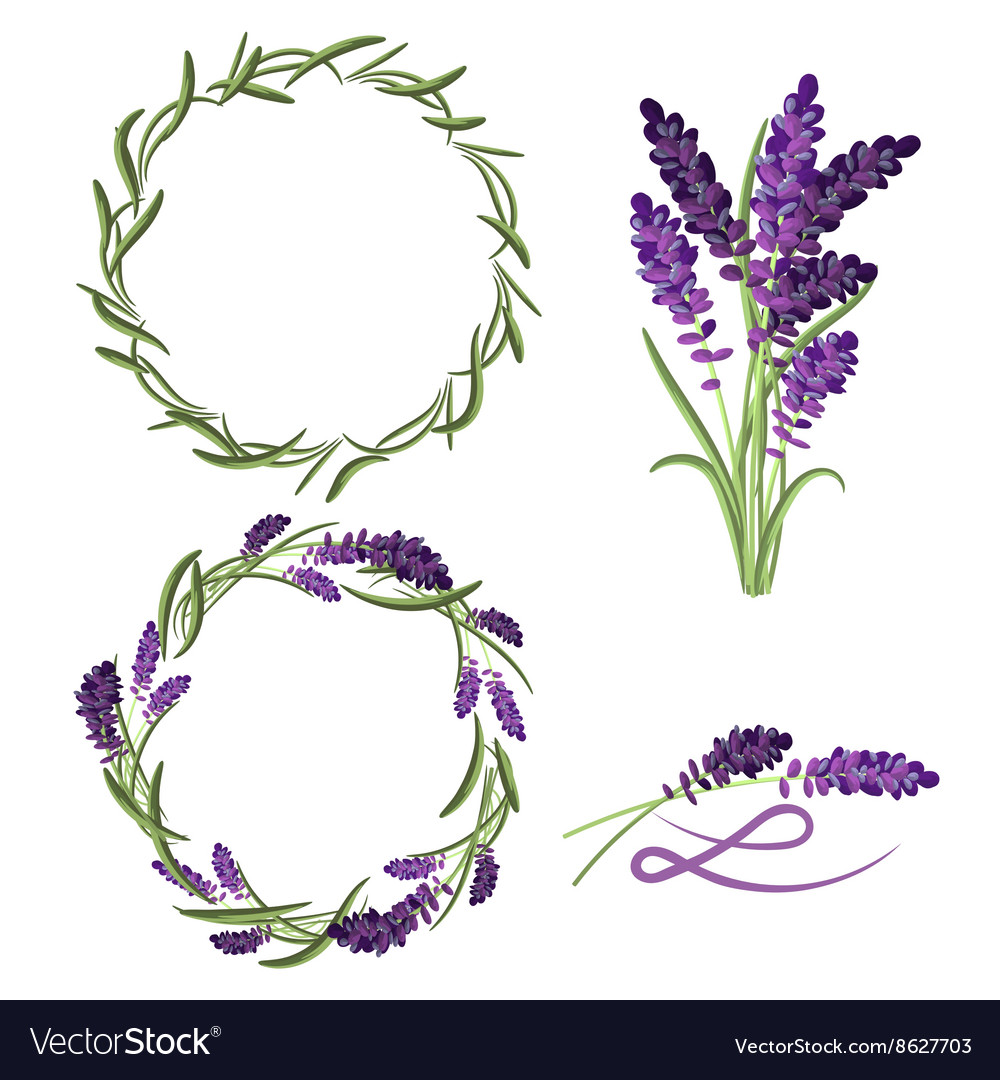 Provence lavender flower bouquet set Royalty Free Vector