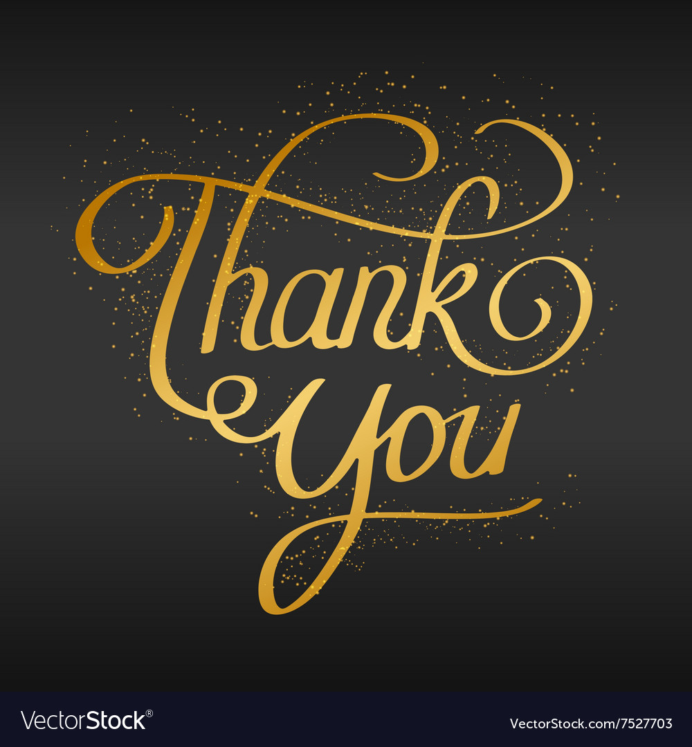 Thank You Hand Lettering Hand Drawn Text Vector Image