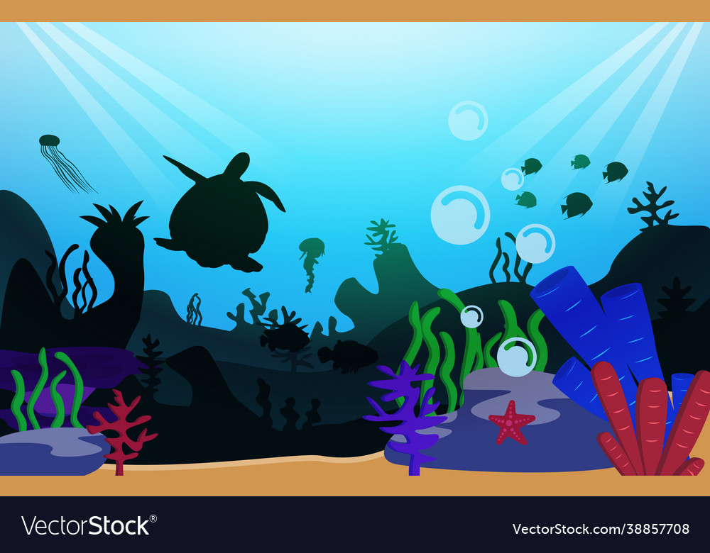 Wildlife turtle fish sea ocean underwater aquatic