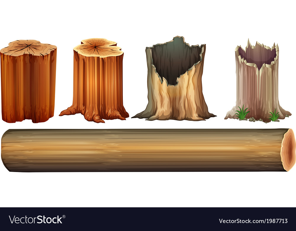 Tree Stumps and Log
