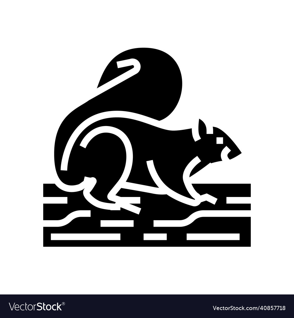 Squirrel wild animal glyph icon