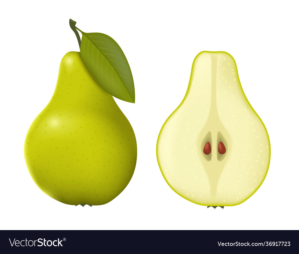 Pear realistic green whole