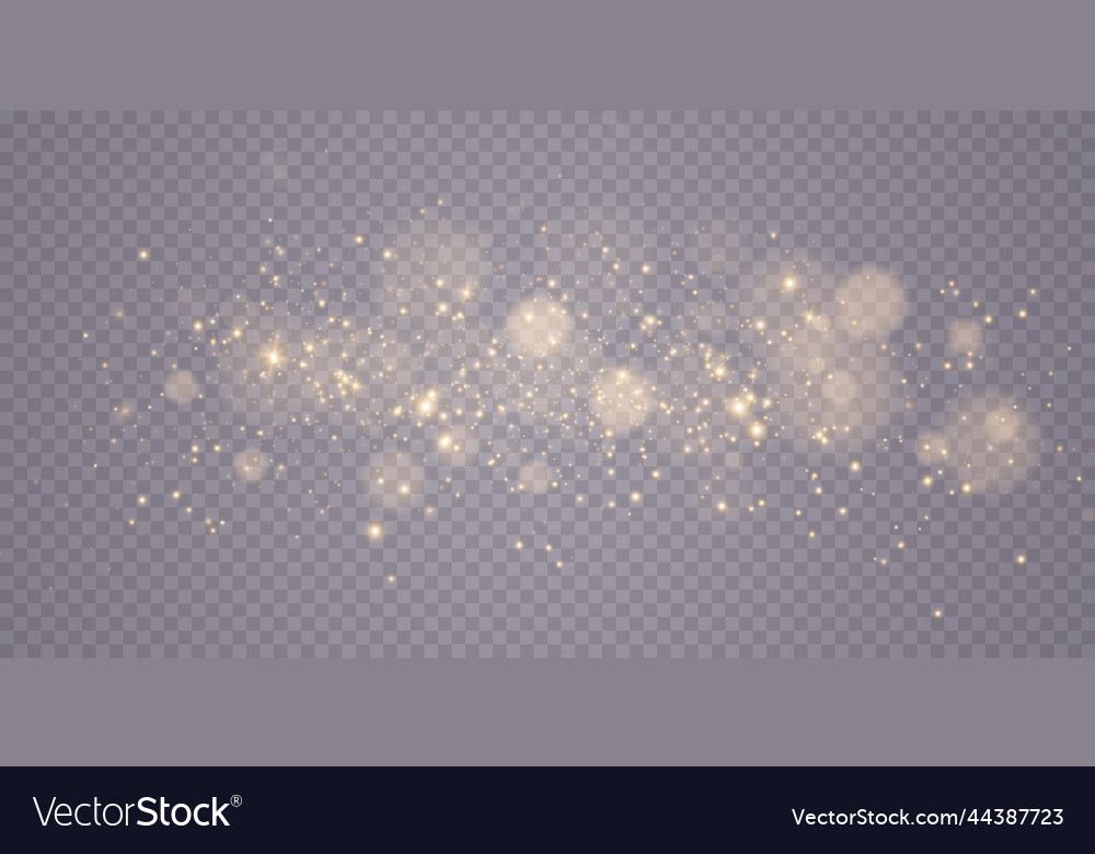 Shimmering Bokeh Lights