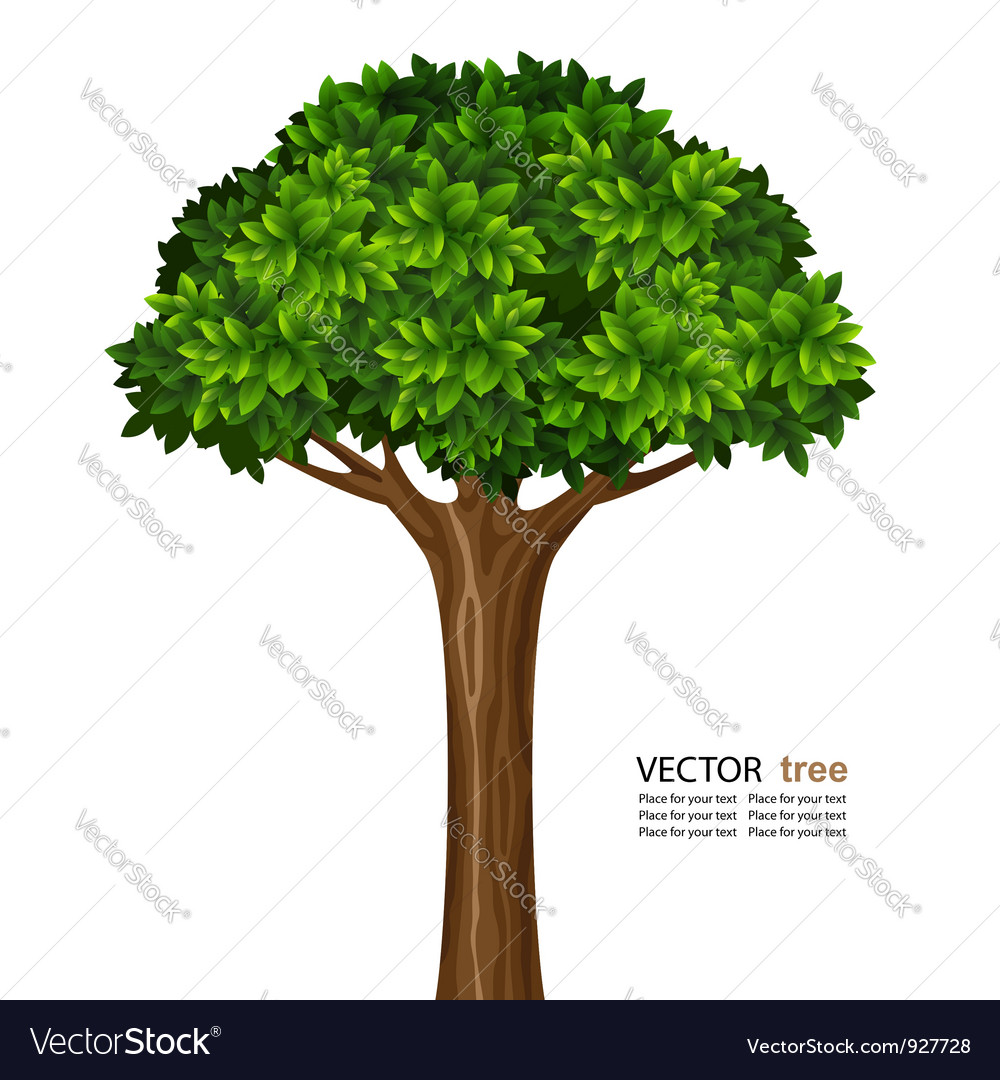 Tree Royalty Free Vector Image - VectorStock