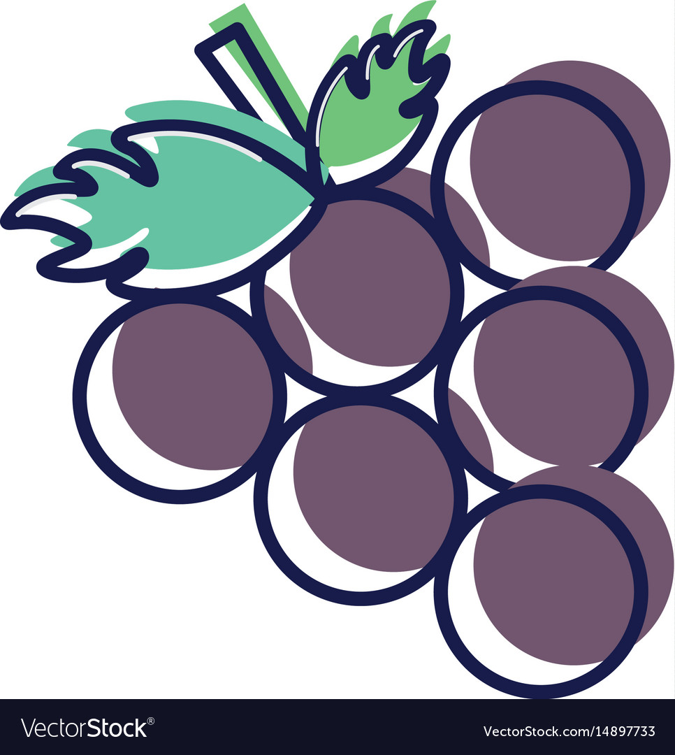 Grape cluster icon image