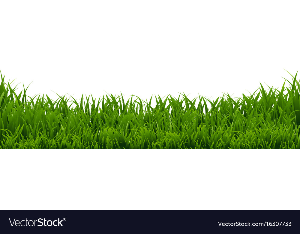 Grass border Royalty Free Vector Image - VectorStock