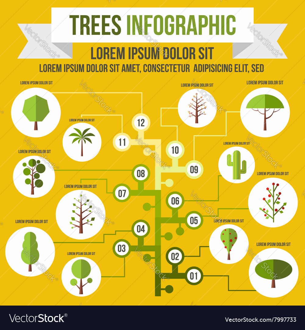 Tree infographic flat style Royalty Free Vector Image