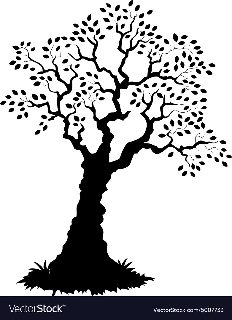 Tree Silhouette Outline