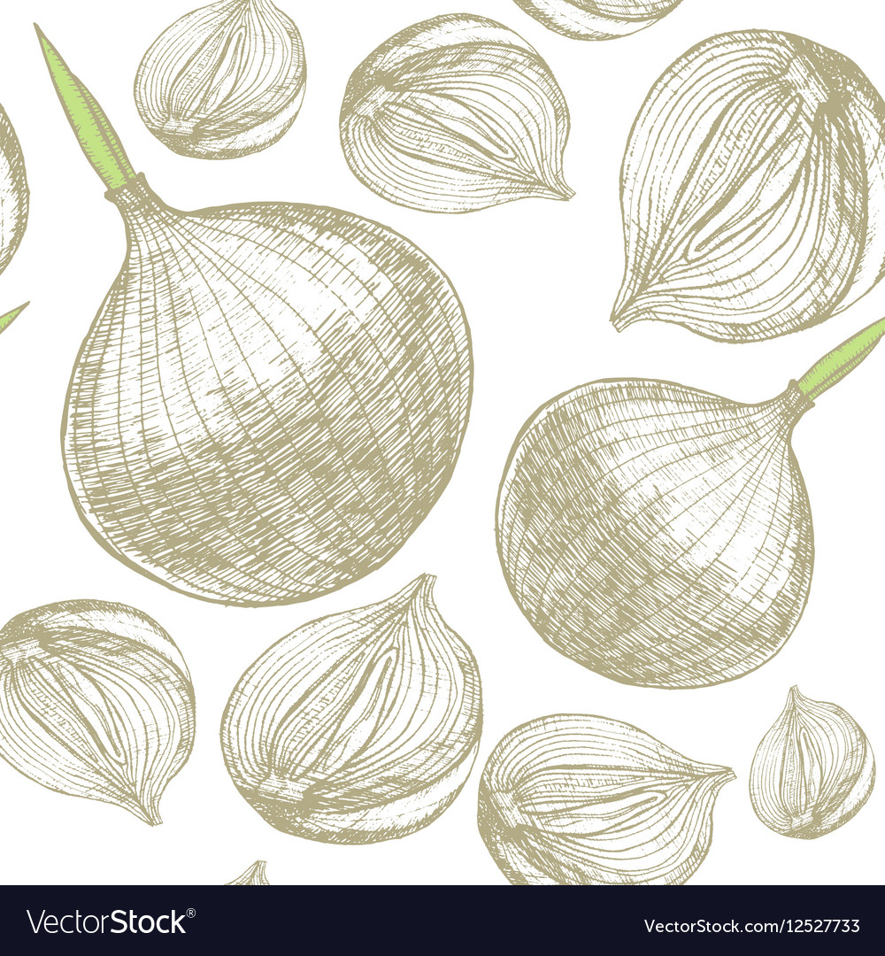 Whole bulb onion and slice background pattern