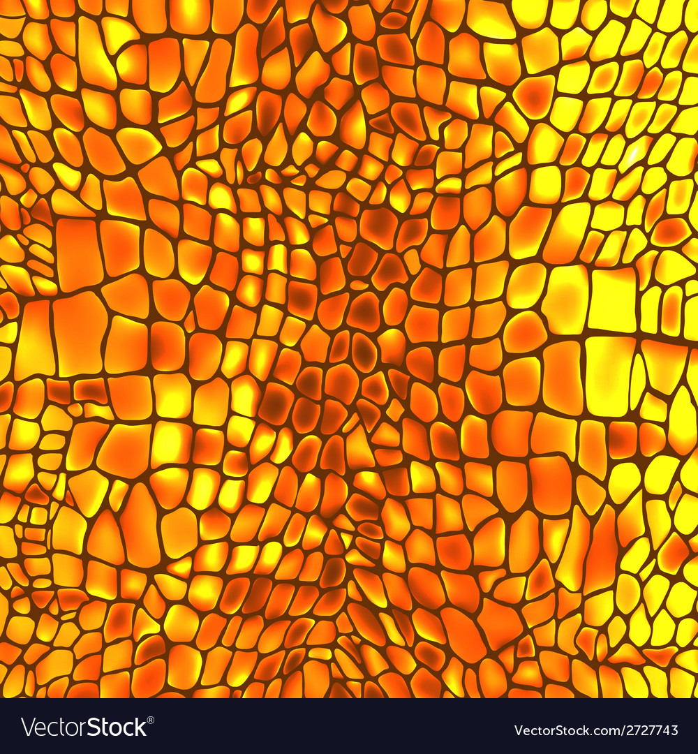 Scales & Patterns - Reptile Texture